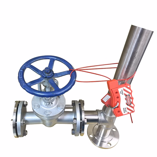 Verrouillage du moraillon anti-effraction papillon en acier inoxydable pour la gestion par plusieurs personnes de l'équipement électrique industriel